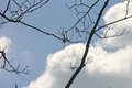 2008 EBC Service at Oxbow Park-150.jpg